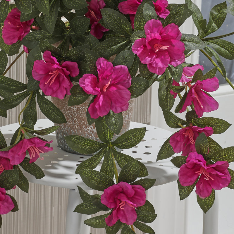 24" Uv Hanging Azalea Plant
