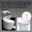 Dejia Soft Close Elongated Standard Toilet Seat
