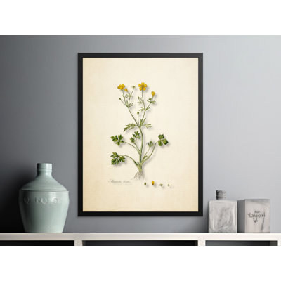 Cleveland Floater Frame Print