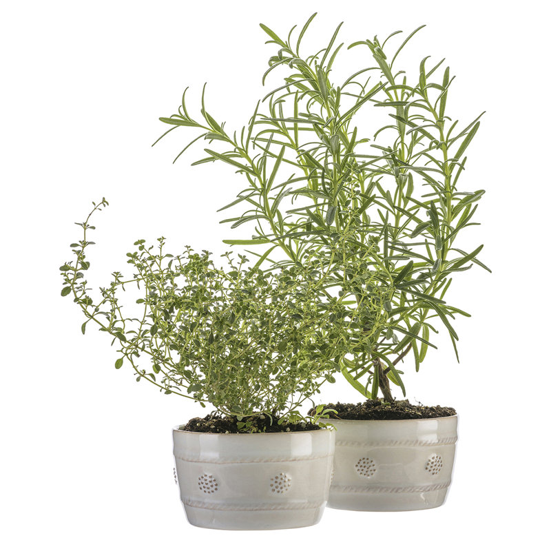 White Embossed Stoneware Ramekin with Rustic Detailing
