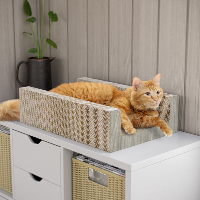 Cadavid Scratching Post
