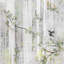Blossom Fantasia by Nicolette Mayer - Unframed Print on Acrylic-66958182