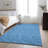 Premium Machine Washable Cerrito AMF514 Blue Rug-103832320