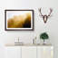 Gold Forest - Framed Print-55733047-55733051
