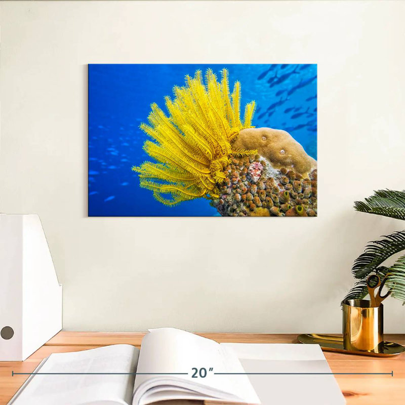 Brampt Yellow Feather Starfish, 8" H x 12" W