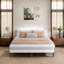 10 in. Box Spring-1174061913