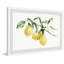 Three Lemons - Single Picture Frame Painting-1845140433