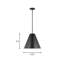 Camariae 1-Light Dimmable Steel Cone Pendant with Adjustable Height-1796399923-1796399922