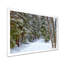 «Winter Forest», reproduction d'art sur toile, route enneigée dans la forêt-984435567-984435568-984435561