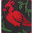 Stepping Stone - Cardinal