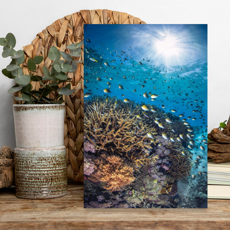 Sunlit Coral Reef Peaceful Serene Vibrant Fish Nature Ocean Wall Art Print 1 Piece Wrapped Canvas Wall Art