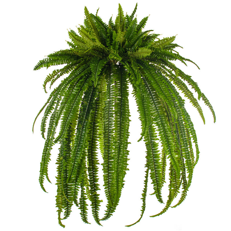 Green Artificial Boston Fern Bush, 56" H x 31" W x 31" D