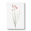 Amaryllis Flowers - Wrapped Canvas-55368804