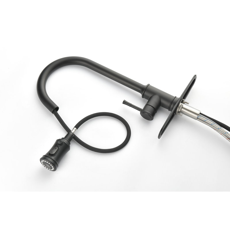Robinet de cuisine en acier inoxydable avec extérieur noir mat, rétractable pour un contrôle facile de l'eau à arc haut en noir, avec douchette polyvalente