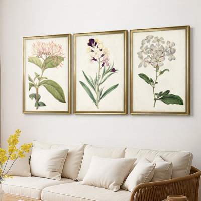 Antique Botanical Collection VI - Toile tendue avec châssis sur mesure - 3 pièces