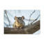 No Frame Print on Canvas-520504082