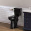 Toilette allongée pour salle de bain Traditional-109050580
