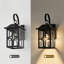Lanterne murale d'extérieur 1 lumière noir mat