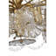 Julie Neill Gianna 24" Chandelie-198183914-198183913