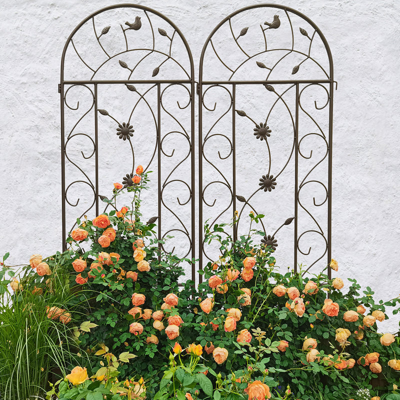 Treillis polyvalent en métal pour les plantes d'extérieur, rehaussant la beauté du jardin