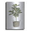Art mural en métal luxueux «Fig Tree II» par Cindy Jacobs, art mural en métal, 16 po x 24 po-101674073