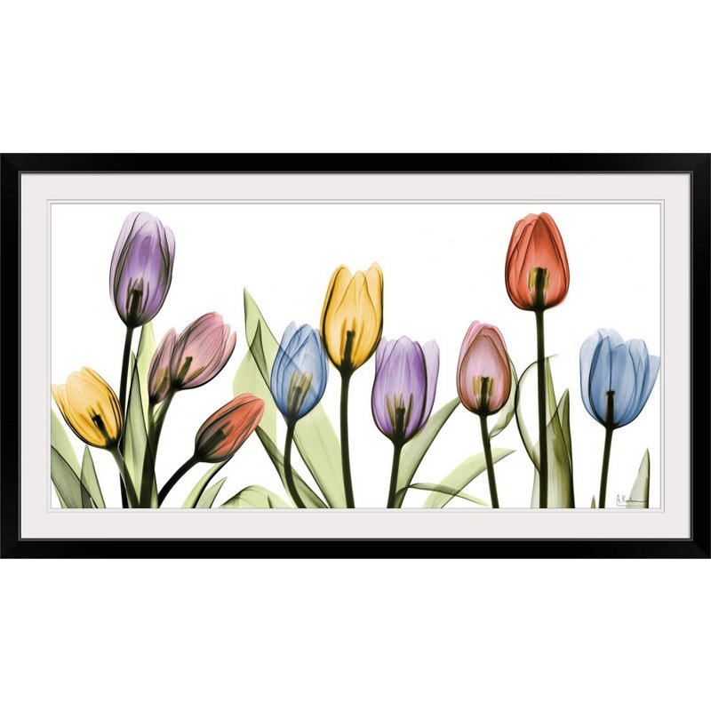 Tulipe - imprimé, H 32 po x l 56 po x P 1 po, Cadre noir