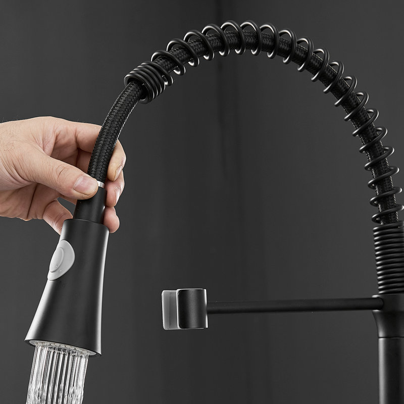 FLG Pull Down Kitchen Faucet, Black