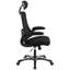 High-Back Black Mesh Swivel Ergonomic Executive Office Chair with Flip-Up Arms and Adjustable Headrest