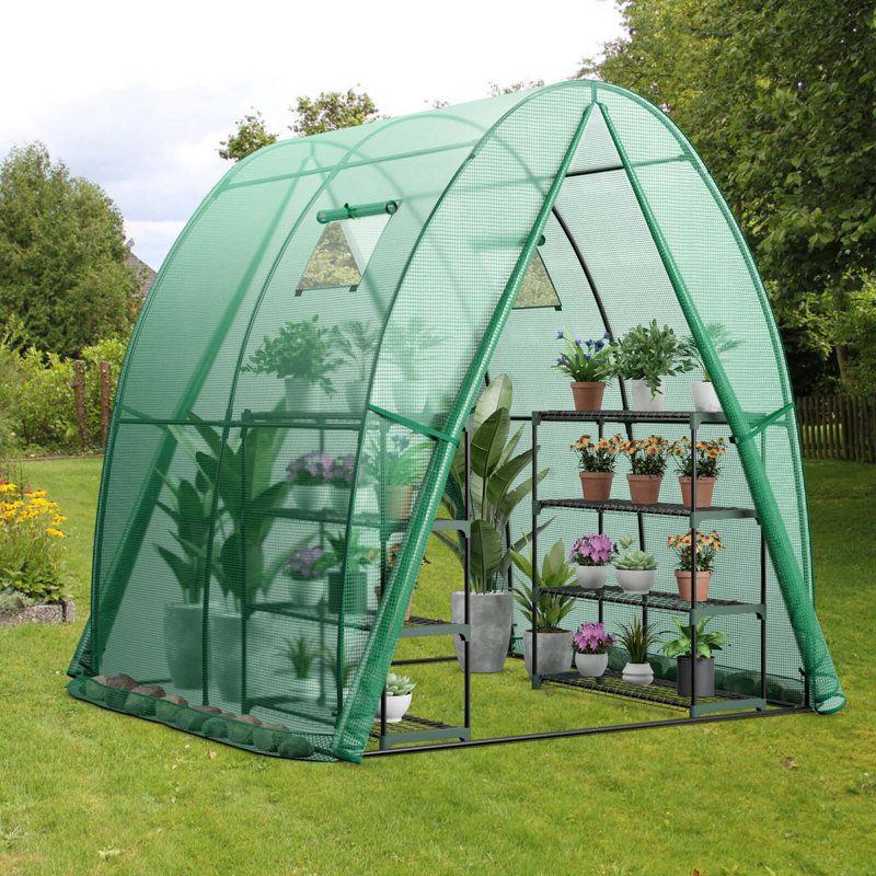 6' W x 6' D Greenhouse, Green