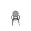 Springer Dining Chair-853454815