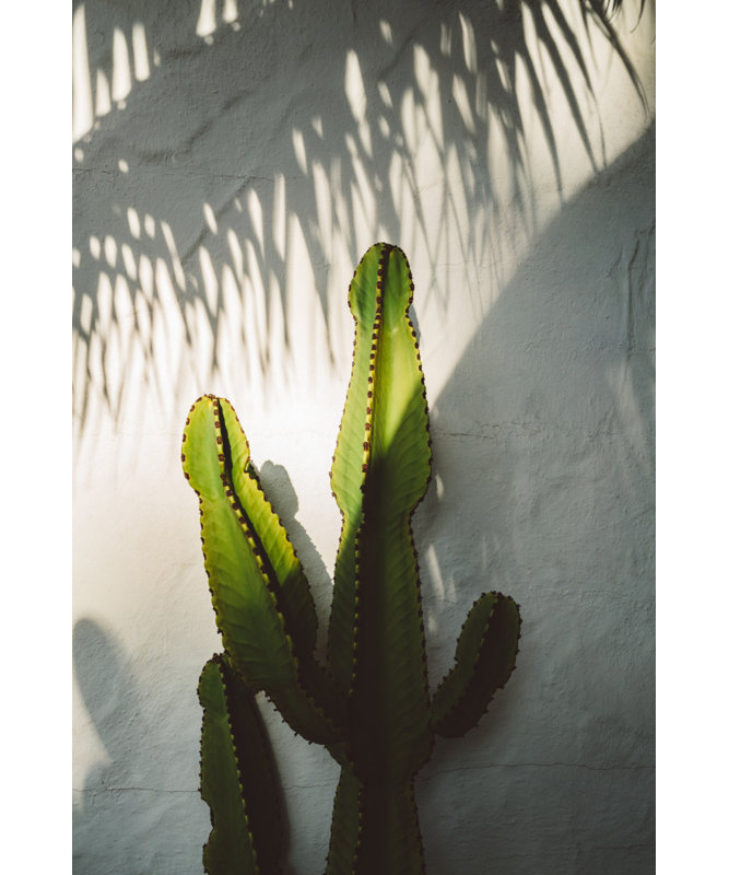 Wrapped Canvas Print, 76.2 cm H x 50.8 cm W