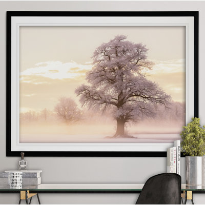 " Winter Glow "