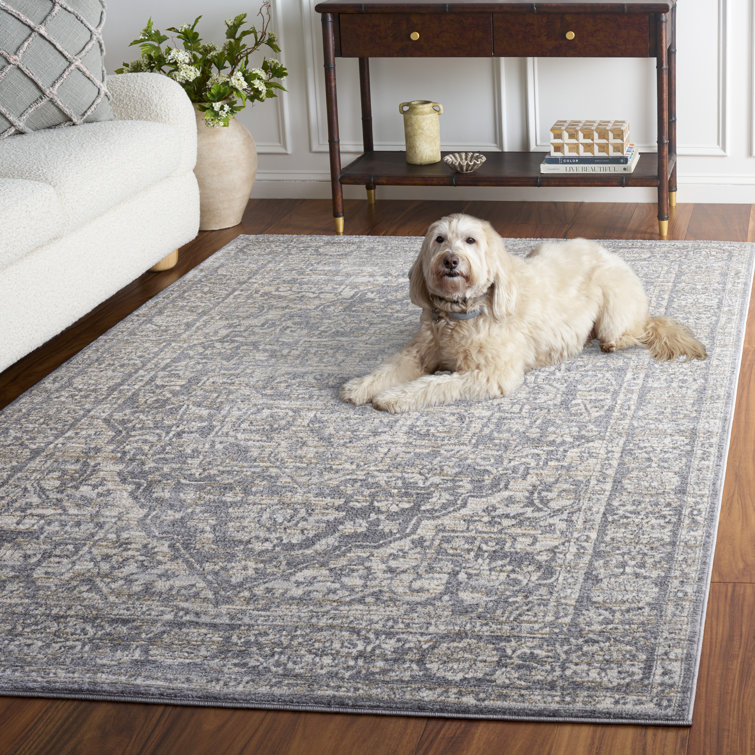Amyrose Oriental Indoor Rug