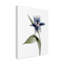 « xray tulip vii », peinture sur toile tendue-1845229729