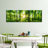 " Forest Panorama "-1139981238