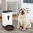 Automatic Feeder