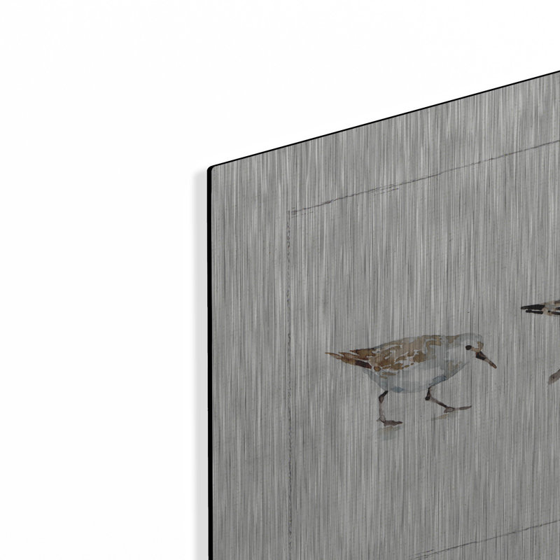 «Pebbles And Sandpipers I» par Lisa Audit, H 12 po x l 36 po