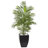 Areca Palm Artificial Tree with Black Planter-33118718-33118716