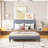 Upholstered Velvet Bed-760145546-760145544