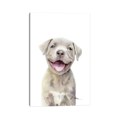 Pitt Bull Puppy - Wrapped Canvas Painting