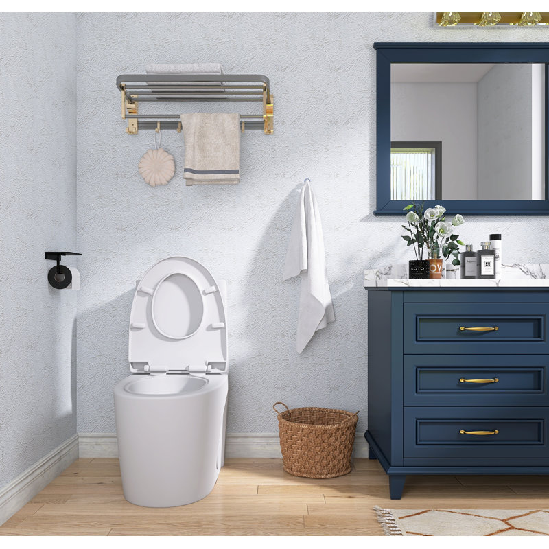 1.1/1.6 GPF Dual Flush Toilet, Comfort Height Elongated One Piece, Soft Close 1000g Map Flushing, Water Saving Floor Mounted