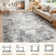 Machine Washable Area Rugs Modern Abstract Rugs Ultra Soft Indoor Floor Mat for Dining Room Low Pile Carpet with Non Slip Backing