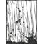 Storms At Night I Print by Helen Parker-46339445-47480845