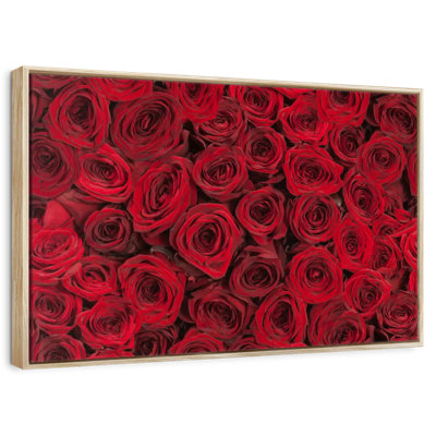 Summer Red Roses