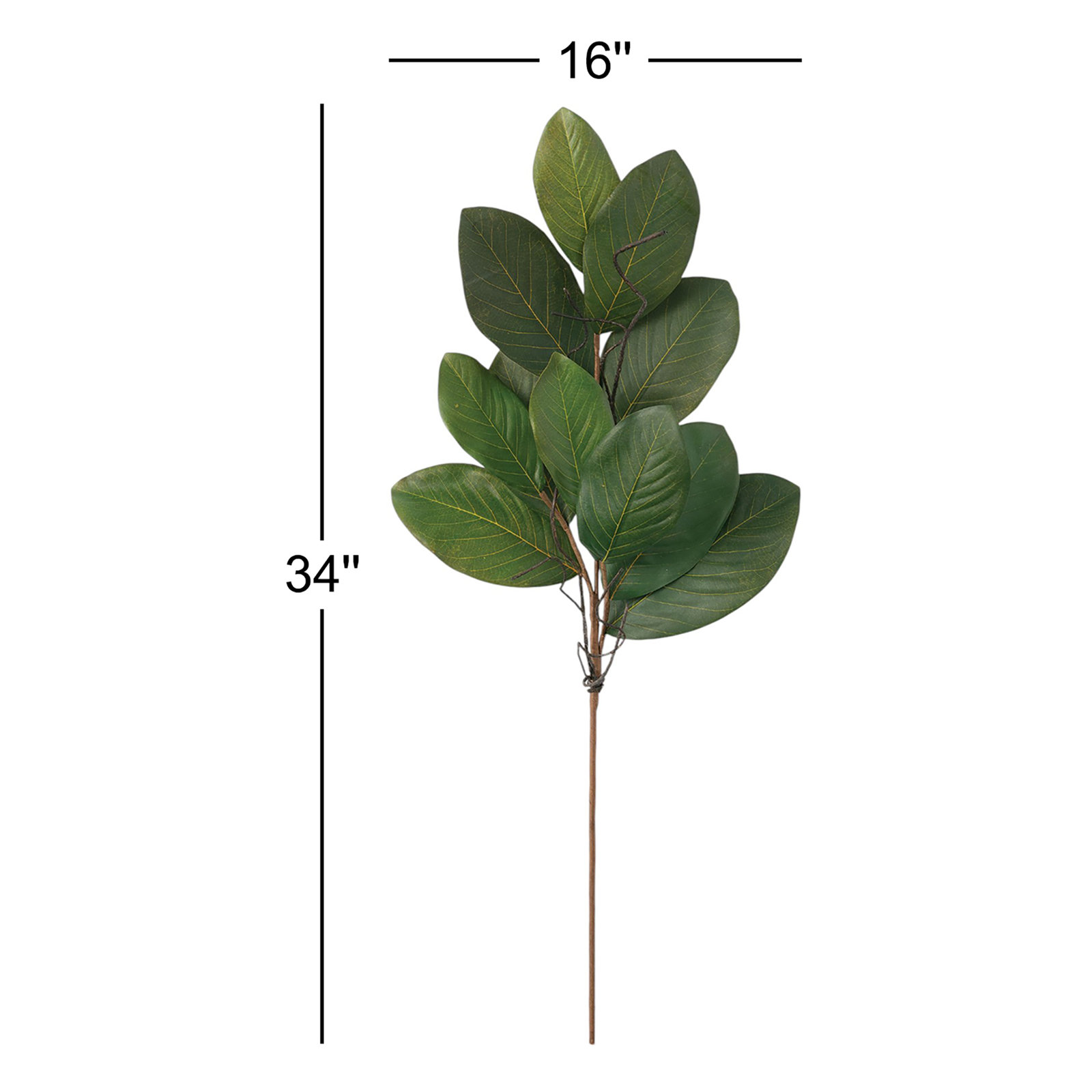 Magnolia Spray