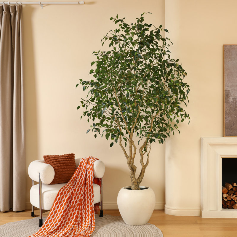 Adcock 8ft Artificial Ficus Tree with 18in White Planter, Tall Faux Ficus Tree for Outdoor