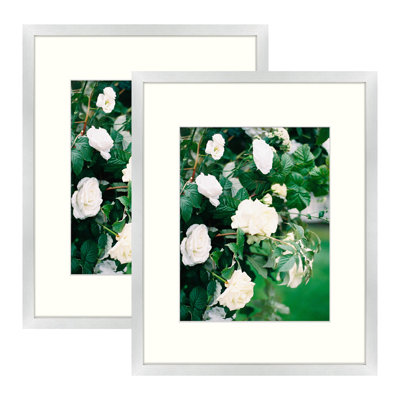 Matte MDF Wall Mounted Picture Frames - Basics by Wayfair™