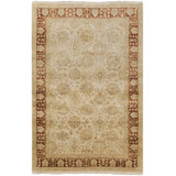 Cecilia Wool Oriental Indoor Rug