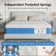 12 Inch Hybrid Memory Foam Mattress in a Box, Pressure Relief for Back Support, Medium Firm, Individually Pocket Springs-1470045868