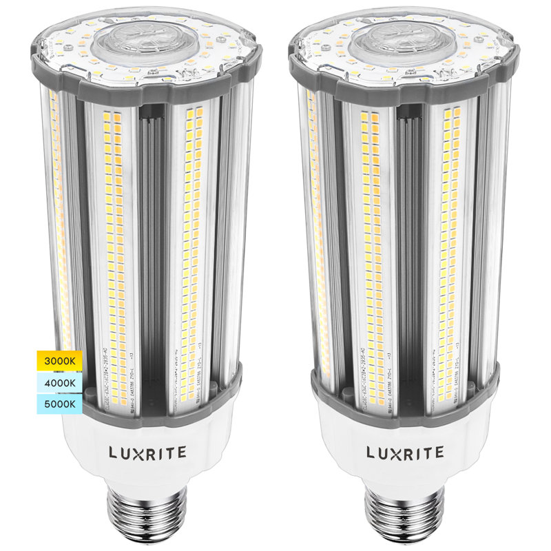63 Watt, LED Light Bulb Color Changing E39/Mogul Base